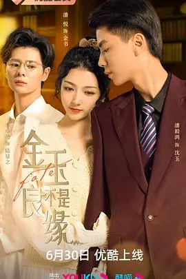 《金玉不是良缘》：当爱情遭遇现实，看错位姻缘如何谱写真爱新篇章！