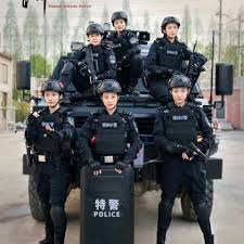 《女巡特警之蜂鸟突击队》：巾帼不让须眉，看飒爽女警如何制霸罪恶都市！