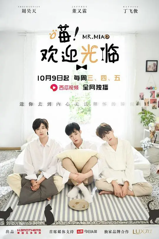 《喵！欢迎光临》：萌猫治愈一切不开心！治愈系日常，让你的心瞬间融化