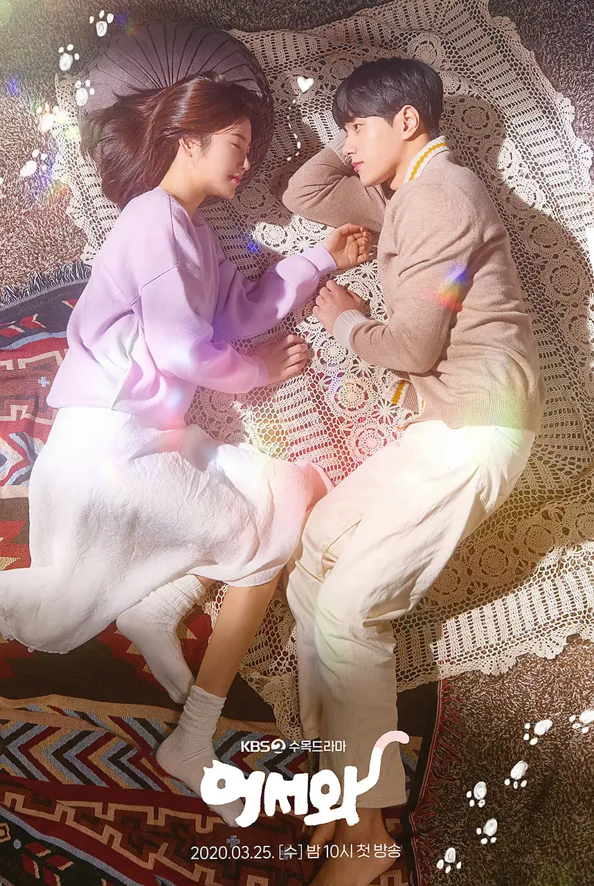 《你回来了》：一场温情脉脉的猫咪奇遇记，治愈都市疲惫心灵的温暖拥抱！