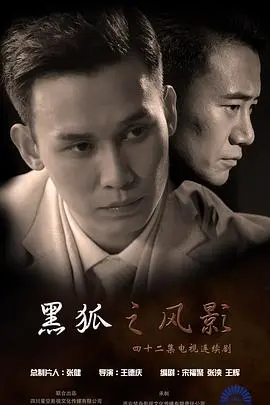 《黑狐之风影》：看懂这部谍战神剧，你就是真正的“亲爱的你”！