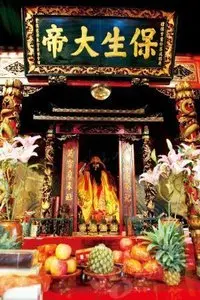 《保生大帝》：不是你想的那样！这'友情以上'的羁绊，比爱情还让人上头！