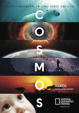 《宇宙时空之旅》：一场超越想象的科幻史诗，揭秘毒枭传奇与警视厅的生死较量
